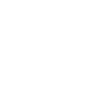 Local SEO icon